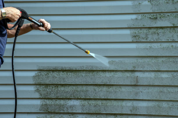 Professional Pressure Washing Services in Dawsonville, GA